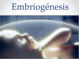 Embriogénesis
Luis Alejandro Peraza Aguirre
 