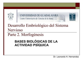 Desarrollo Embriológico del Sistema Nervioso Parte 2. Morfogénesis BASES BIOLÓGICAS DE LA ACTIVIDAD PSÍQUICA Dr. Leonardo H. Hernandez 