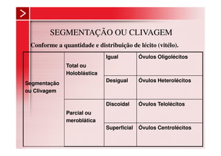 SEGMENTAÇÃO OU CLIVAGEM
 Conforme a quantidade e distribuição de lécito (vitélo).
                             Igual         Óvulos Oligolécitos
              Total ou
              Holoblástica
                             Desigual      Óvulos Heterolécitos
Segmentação
ou Clivagem

                             Discoidal     Óvulos Telolécitos
              Parcial ou
              meroblática
                             Superficial   Óvulos Centrolécitos
 