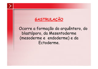 GASTRULAÇÃO

Ocorre a formação do arquêntero, do
 blastóporo, da Mesentoderme
(mesoderme e endoderme) e da
          Ectoderme.
 