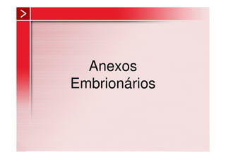 Anexos
Embrionários
 