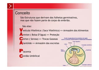 Conceito
  São Estruturas que derivam dos folhetos germinativos,
  mas que não fazem parte do corpo do embrião.

   São elas:
    esícula Vitelínica ( Saco Vitelínico) => Armazém dos Alimentos
    mnion ( Bolsa D’água) => Proteção
    órion ( Serosa) => Trocas Gasosas
    lantóide => Armazém das excretas


    lacenta
    ordão Umbilical
 
