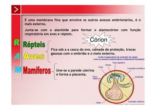 É uma membrana fina que envolve os outros anexos embrionários, é o
mais externo.
Junta-se com o alantóide para formar o alantocórion com função
respiratória em aves e répteis.
                                      Córion
              Fica sob a a casca do ovo, camada de proteção, trocas
              gasosas com o embrião e o meio externo.




                 Une-se a parede uterina
                 e forma a placenta.
 