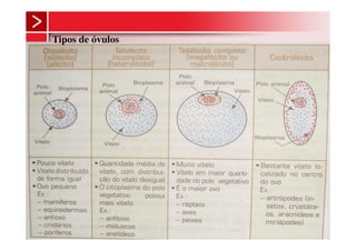 Tipos de óvulos
 