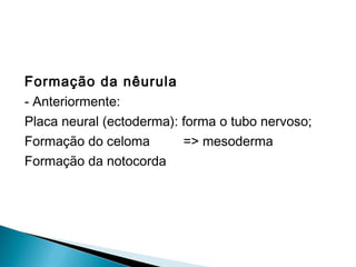 Formação da nêurula 
- Anteriormente: 
Placa neural (ectoderma): forma o tubo nervoso; 
Formação do celoma => mesoderma 
Formação da notocorda 
 