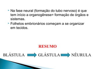  Na fase neural (formação do tubo nervoso) é que 
tem início a organogênese= formação de órgãos e 
sistemas. 
 Folhetos embrionários começam a se organizar 
em tecidos. 
RESUMO 
BLÁSTULA GLÁSTULA NÊURULA 
 