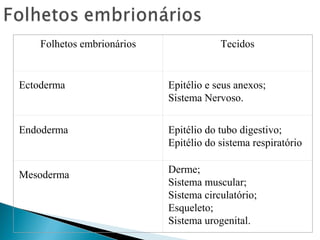 Folhetos embrionários Tecidos 
Ectoderma Epitélio e seus anexos; 
Sistema Nervoso. 
Endoderma Epitélio do tubo digestivo; 
Epitélio do sistema respiratório 
Mesoderma Derme; 
Sistema muscular; 
Sistema circulatório; 
Esqueleto; 
Sistema urogenital. 
 