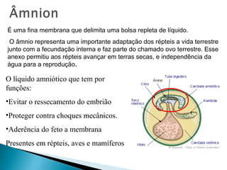 É uma fina membrana que delimita uma bolsa repleta de líquido. 
O âmnio representa uma importante adaptação dos répteis a vida terrestre 
junto com a fecundação interna e faz parte do chamado ovo terrestre. Esse 
anexo permitiu aos répteis avançar em terras secas, e independência da 
água para a reprodução. 
O líquido amniótico que tem por 
funções: 
•Evitar o ressecamento do embrião 
•Proteger contra choques mecânicos. 
•Aderência do feto a membrana 
Presentes em répteis, aves e mamíferos 
 