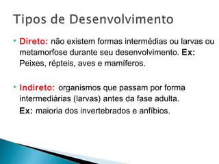  Direto: não existem formas intermédias ou larvas ou 
metamorfose durante seu desenvolvimento. Ex: 
Peixes, répteis, aves e mamíferos. 
 Indireto: organismos que passam por forma 
intermediárias (larvas) antes da fase adulta. 
Ex: maioria dos invertebrados e anfíbios. 
