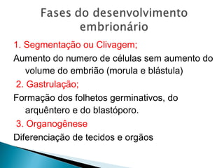 1. Segmentação ou Clivagem; 
Aumento do numero de células sem aumento do 
volume do embrião (morula e blástula) 
2. Gastrulação; 
Formação dos folhetos germinativos, do 
arquêntero e do blastóporo. 
3. Organogênese 
Diferenciação de tecidos e orgãos 
 