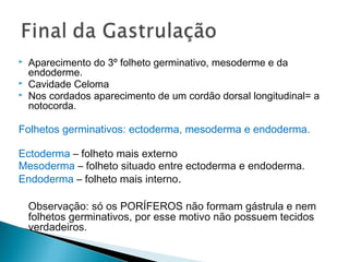 Folhetos embrionários Tecidos 
Ectoderma Epitélio e seus anexos; 
Sistema Nervoso. 
Endoderma Epitélio do tubo digestivo; ...