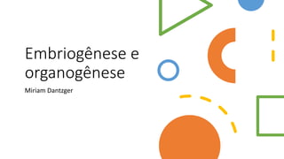 Embriogênese e
organogênese
Miriam Dantzger
 