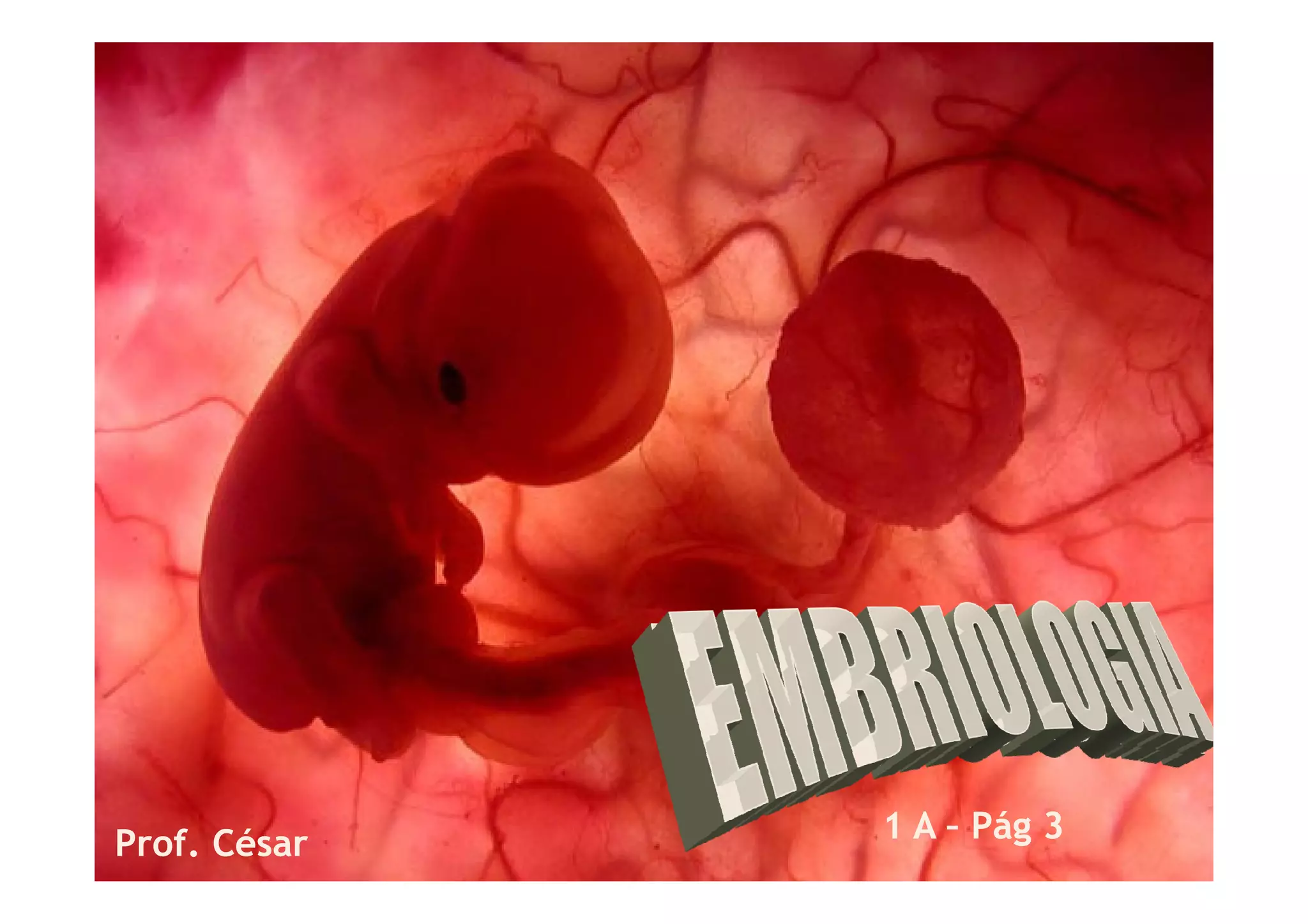 Prof. CésarProf. César 1 A1 A –– PágPág 33