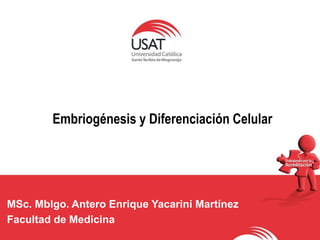 Embriogénesis y Diferenciación Celular 
MSc. Mblgo. Antero Enrique Yacarini Martínez 
Facultad de Medicina 
 