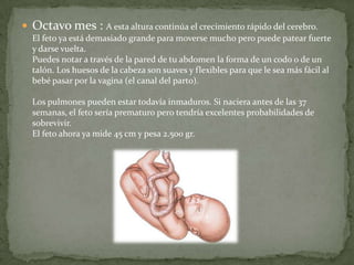 Octavo mes : A esta altura continúa el crecimiento rápido del cerebro.El feto ya está demasiado grande para moverse mucho pero puede patear fuerte y darse vuelta.Puedes notar a través de la pared de tu abdomen la forma de un codo o de un talón. Los huesos de la cabeza son suaves y flexibles para que le sea más fácil al bebé pasar por la vagina (el canal del parto).Los pulmones pueden estar todavía inmaduros. Si naciera antes de las 37 semanas, el feto sería prematuro pero tendría excelentes probabilidades de sobrevivir.El feto ahora ya mide 45 cm y pesa 2.500 gr. 