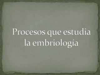 Procesos que estudia la embriología