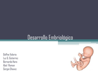 Desarrollo Embriológico

Daffne Valerio
Luz G. Gutierrez
Bernardo Haro
Abel Roman
Sergio Chavez
 