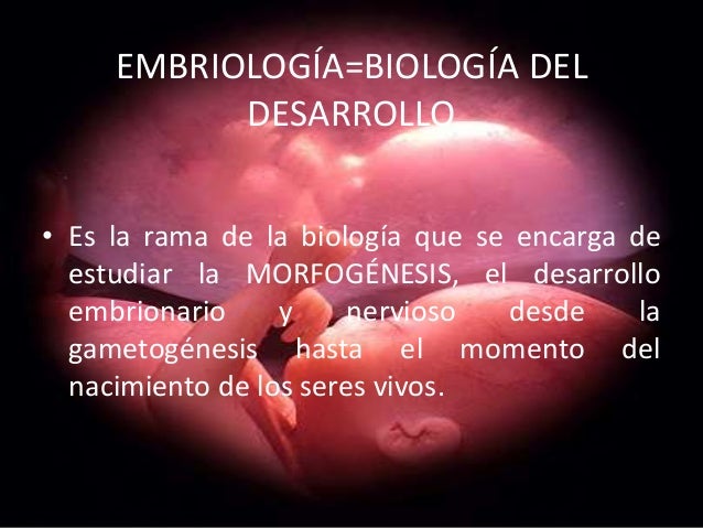 Embriología