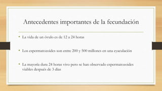Antecedentes importantes de la fecundación
• La vida de un óvulo es de 12 a 24 horas
• Los espermatozoides son entre 200 y 500 millones en una eyaculación
• La mayoría dura 24 horas vivo pero se han observado espermatozoides
viables después de 3 días
 