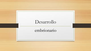 Desarrollo
embrionario
 