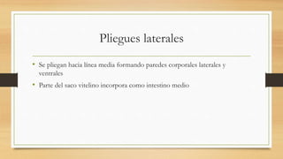 Pliegues laterales
• Se pliegan hacia línea media formando paredes corporales laterales y
ventrales
• Parte del saco vitelino incorpora como intestino medio
 