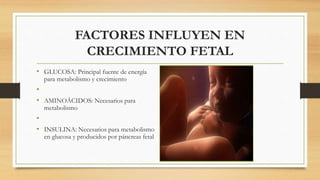 FACTORES INFLUYEN EN
CRECIMIENTO FETAL
• GLUCOSA: Principal fuente de energía
para metabolismo y crecimiento
•
• AMINOÁCIDOS: Necesarios para
metabolismo
•
• INSULINA: Necesarios para metabolismo
en glucosa y producidos por páncreas fetal
 