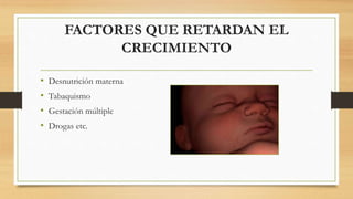 FACTORES QUE RETARDAN EL
CRECIMIENTO
• Desnutrición materna
• Tabaquismo
• Gestación múltiple
• Drogas etc.
 