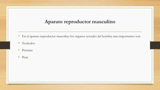 Aparato reproductor masculino
• En el aparato reproductor masculino los órganos sexuales del hombre mas importantes son:
• Testículos
• Próstata
• Pene
 