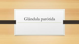 Glándula parótida
 