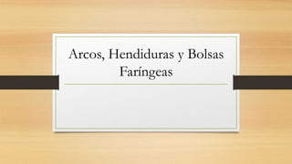 Arcos, Hendiduras y Bolsas
Faríngeas
 