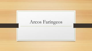 Arcos Faríngeos
 