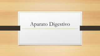 Aparato Digestivo
 