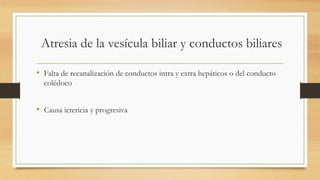 Atresia de la vesícula biliar y conductos biliares
• Falta de recanalización de conductos intra y extra hepáticos o del conducto
colédoco
• Causa ictericia y progresiva
 