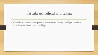 Fistula umbilical o vitelina
• Cuando no se cierra completa, la unión entre Íleon y ombligo, ocasiona
expulsión de heces por el ombligo
 