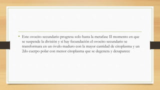 • Este ovocito secundario progresa solo hasta la metafase II momento en que
se suspende la división y sí hay fecundación el ovocito secundario se
transformara en un óvulo maduro con la mayor cantidad de citoplasma y un
2do cuerpo polar con menor citoplasma que se degenera y desaparece
 