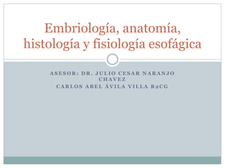 A S E S O R : D R . J U L I O C E S A R N A R A N J O
C H A V E Z
C A R L O S A B E L Á V I L A V I L L A R 2 C G
Embriología, anatomía,
histología y fisiología esofágica
 