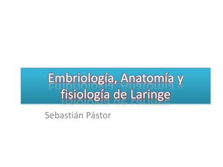Embriología, Anatomía y fisiología de Laringe,[object Object],Sebastián Pástor,[object Object]