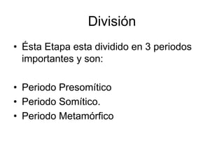 División
• Ésta Etapa esta dividido en 3 periodos
importantes y son:
• Periodo Presomítico
• Periodo Somítico.
• Periodo Metamórfico
 