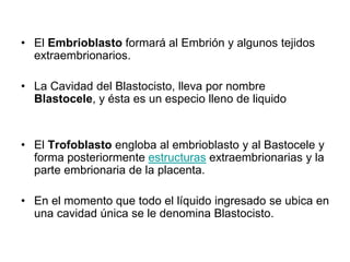 • El Embrioblasto formará al Embrión y algunos tejidos
extraembrionarios.
• La Cavidad del Blastocisto, lleva por nombre
Blastocele, y ésta es un especio lleno de liquido
• El Trofoblasto engloba al embrioblasto y al Bastocele y
forma posteriormente estructuras extraembrionarias y la
parte embrionaria de la placenta.
• En el momento que todo el líquido ingresado se ubica en
una cavidad única se le denomina Blastocisto.
 