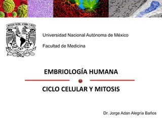 Universidad Nacional Autónoma de México
Facultad de Medicina
Dr. Jorge Adan Alegría Baños
EMBRIOLOGÍA HUMANA
CICLO CELULAR Y MITOSIS
 