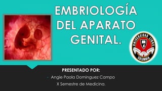 PRESENTADO POR:
- Angie Paola Dominguez Campo
X Semestre de Medicina.
 