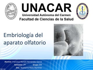 Embriología del
aparato olfatorio
Alumno: Francisco Ramón Hernández García
Semestre: 2do Grupo:306
Dra.: Youhanna Mato Martínez
 