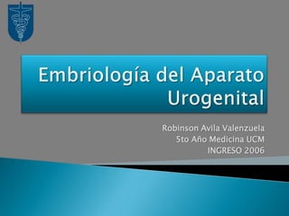 Embriología del Aparato Urogenital Robinson Avila Valenzuela 5to Año Medicina UCM INGRESO 2006 
