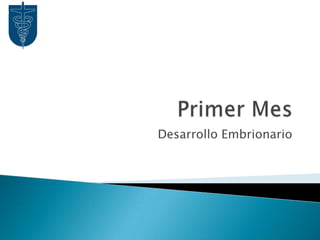 Primer MesDesarrollo Embrionario