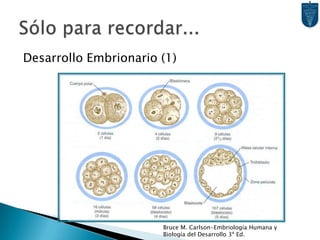 Desarrollo Embrionario (1)Sólo para recordar...Bruce M. Carlson-Embriología Humana y Biología del Desarrollo 3ª Ed.