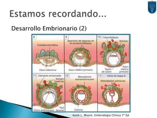 Desarrollo Embrionario (2)Estamos recordando...Keith L. Moore. Embriología Clínica 7ª Ed.