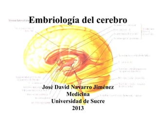 Embriología del cerebro

José David Navarro Jiménez
Medicina
Universidad de Sucre
2013

 
