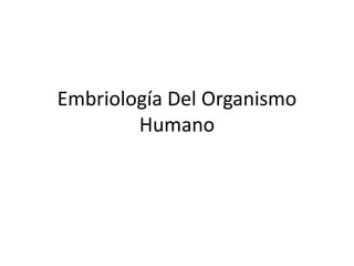 Embriología Del Organismo
Humano
 
