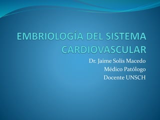 Dr. Jaime Solís Macedo
Médico Patólogo
Docente UNSCH
 
