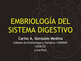 EMBRIOLOGÍA DEL SISTEMA DIGESTIVO Carlos A. Gonzales Medina Cátedra de Embriología y Genética -UNMSM  ADIECS Lima-Perú 